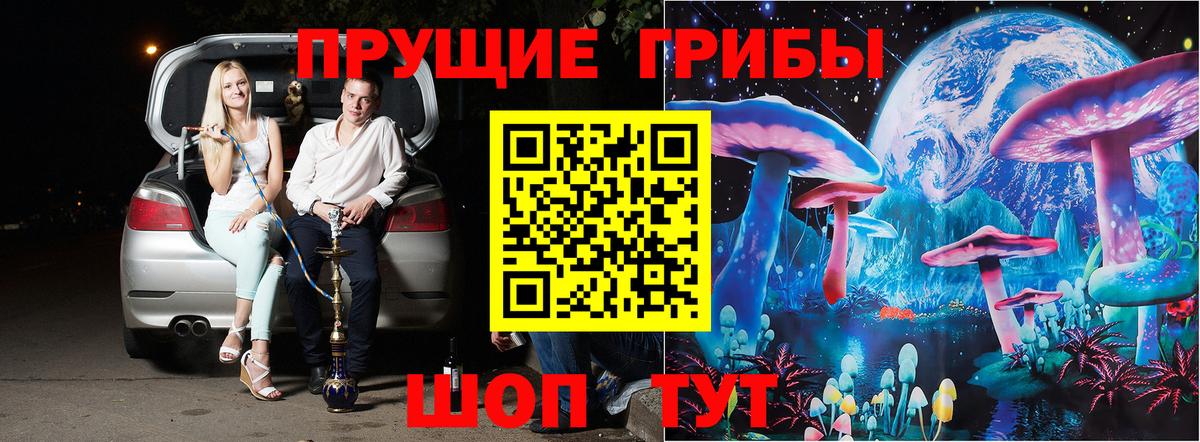 Галлюциногенные грибы прущие грибы  Псилоцибиновые грибы мухоморы  купить наркоту  Вход с VPN  Вязники 